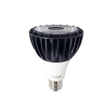 데이온 LED 30W PAR30 램프 집중형 파30, 주광색, 주광색