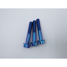 【TiONLY】鈦鴻利 正鈦螺絲 M8*50 特外六角, 藍色, 1個