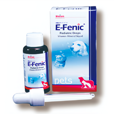 Union E-Fenic 益補血營養補充劑, 1個, 【益補血】30ml