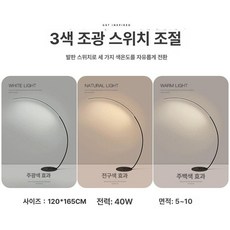 LED 북유럽 장 플로어, 스탠드조명-검정프레임삼색변환