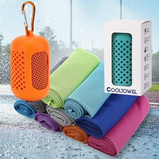 쿨링 스포츠타월 케이스 세트 등산 헬스 땀수건 SW30002, 민트, 민트, 1개