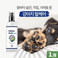 테라풋 스프레이(가려움케어/발핥음/습진/아토피/발바닥보습), 1개, 150ml