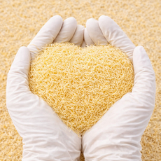 지엘티 구운 카다이프 두바이쫀득쿠키재료, 1개, 1kg