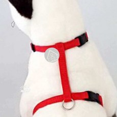 고양이 몸통줄 세트 레드 15mm 고양이목줄 고양이하네스 고양이가슴줄