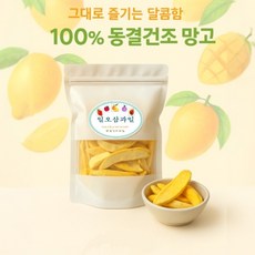 일오삼과일 동결건조망고칩 망고100% 망고칩60g, 60g, 1개