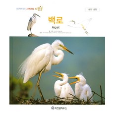 백로, 키즈덤하우스