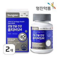 영플랜 옵티 MSM 2000 관절 연골 건강, 2개, 90정