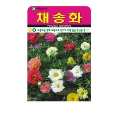저스틴앤클로이 채송화5000립 고급꽃씨, 1개