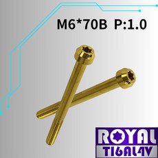 ROYAL 鈦合金螺絲 M6*70B P:1.0 錐形螺絲 64鈦/正鈦 土豪金, 1個