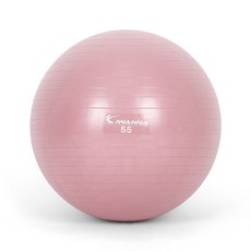 아이워너 안티버스트 짐볼 55cm 홈트레이닝 홈트, 와일드핑크