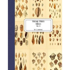 (영문도서) Vintage Prints: Shells: Vol. 6 Paperback, Createspace Independent Pub..., English, 9781727215663