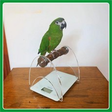 스탠드 몸무게 조류 체중계 나무 앵무새체중계 너도밤나무 아크릴 측정, 높이 18cm 철리목 선반 + 체중계, 높이 18cm 철리목 스탠드 체중, 1개