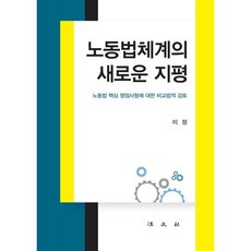 노동법체계의 새로운 지평 : 노동법 핵심 쟁점사항에 대한 비교법적 검토, 이정 저, 법문사