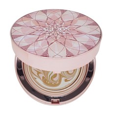 에이지투웨니스 더 블루밍 다이아 에센스 커버 팩트, 21호, 1개