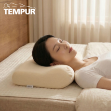 템퍼 베개 경추 메모리폼 목이편한 숙면 베개, 1개, 아이보리화이트
