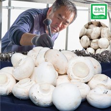 역전의 대박농부 풀마을 농장 부여 무농약 인증 양송이버섯 가정용 버섯동자 수확출고, 1개, 1kg