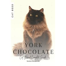 (영문도서) York Chocolate: Cat Breed Complete Guide Paperback, Independently Published, English, 9798870669748