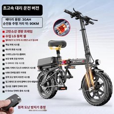 초경량 알루미늄 전기차 소형 리튬배터리 신국표 전동차, 3. 표준 30A 90km LCD