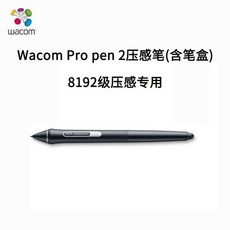 Wacom Pro 인튜어스 미디엄 Pen 옵션 그래픽 익스프레스