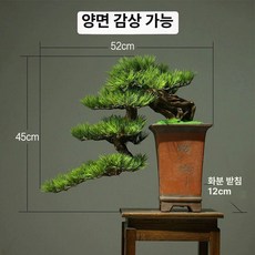 조경 인테리어 조화 사무실 로비 소나무 왼쪽을 로비, 고조형 환영 소나무
