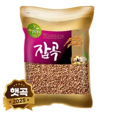 현대농산 수입 찰수수 5kg, 1개