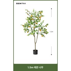나무 북유럽 인테리어 플랜테리어 소품 금귤 거실 카페, 1.5m 레몬나무