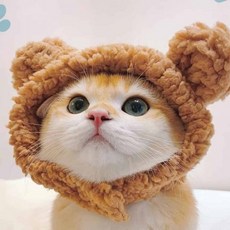 [5959]고양이 모자 고양이악세사리 고양이모자 귀여운모자 인형모자, 1개, 브라운 곰