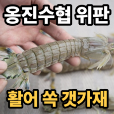 [옹진수협직판] 자연산 생물 쏙 갯가재, 1세트, 500g