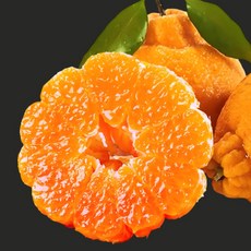 [100박스한정판매] 시즌말초특가 정품 제주 한라봉, 1박스, 2kg