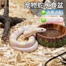 寵物蛇躲避屋 爬寵蘑菇屋 蜥蜴守宮樹脂擺飾, 1個, 仿木紋水食盆,【適合蛇/守宮/蜥蜴/魚缸造景】, 仿木紋水食盆