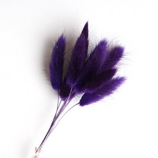 화연양화 프리저브드플라워 선별 라그라스 강아지풀 10개입, 14 퍼플