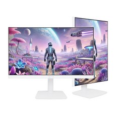 [LG 나노IPS 패널] 인터픽셀 IPQ2744 나노 IPS QHD 165Hz 화이트 피벗 게이밍 68~69cm(27인치) 일반