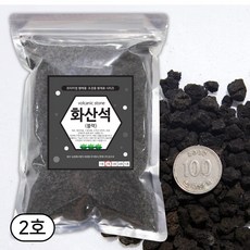 세경팜 블랙 화산석 2호 화산사 어항 화분 마감재 2L, 1개