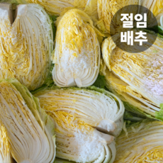 [초특가할인] 절임배추 배추 국내산 절인배추, 배송일 또는 1일전 도착, 1박스, 20kg