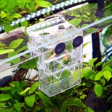 물고기 격리통 수조 소형 흡착식 분리통 관리 투명, 1