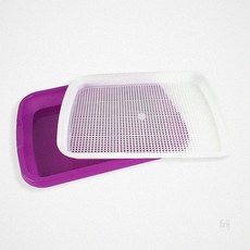 새싹재배 트레이 받침대 재배용 스프라우트, 1개