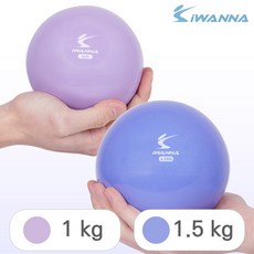 아이워너 소프트 웨이트볼 무게선택 토닝볼 필라테스, 1개, 1.5kg