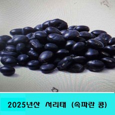 서리태2kg 국산 잡곡은보약, 2개, 1kg