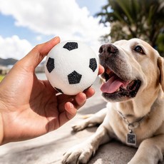 큐트스마트 강아지 솔리드 고무공, 1개, 화이트