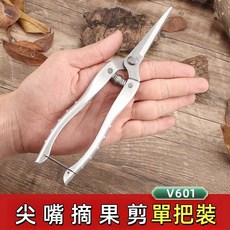 不鏽鋼修枝剪 園藝剪 樹枝剪刀 花藝剪刀 SK5材質, 1個, 601摘果剪