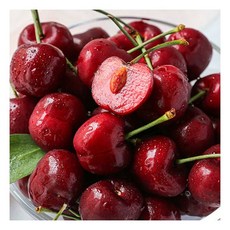 칠레산 생체리 500g 특대과(9~9.5R)184442