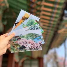 [에이블라인드] 박환 작가 엽서 5종 / 시각장애 예술가 굿즈, 친환경 포장(크라프트 봉투/벌크 포장)