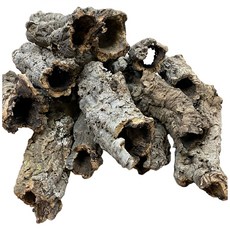 天然樹洞, 棕色, 1個