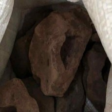 너블룸 화산석 25cm, 1g, 1개
