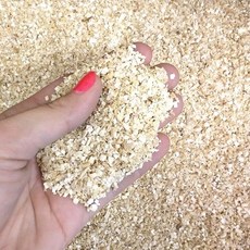 아스펜 사니칩 300g 햄스터 베딩 도마뱀 바닥재 뱀 베딩