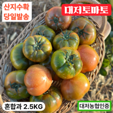 [당일새벽배송] 대저토마토 짭짤이 대저농협인증 산지직송, 1박스, 랜덤(혼합과) 2.5kg
