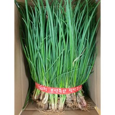 국내산 신선한 최상품 흙쪽파 김치용 1단(1.5kg내외) 2단 (3kg내외) 알뜰농장, 1개, 깐파2단