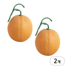 머스크 노란 메론 모형 2개-과일 음식 모조 인조 가짜 멜론