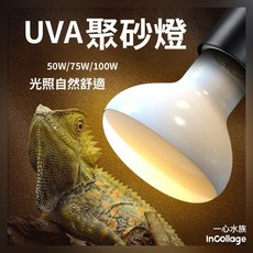 nomo聚熱燈泡 台灣專用110V 爬蟲UVA保溫燈 取暖燈 日間加溫 陸龜燈, 1個, NOMO 磨砂 50瓦