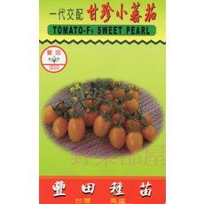 一心交配 甘珍小蕃茄種子 耐熱性強 產量高, 1包